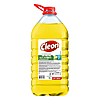   Cleon   5