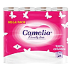   Camelia 3 24