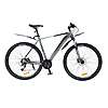  Cronus ProFast 19.5 29 grayblack
