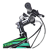  Champion Lector   17  27.5  ...