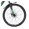  Champion Lector   21  29 BlackGreen