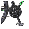  Champion Lector   21  29 BlackGreen