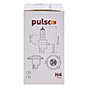   Pulso H4P43T 12v 60w clearcbox