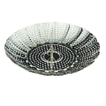  Empire    3312 d23 
