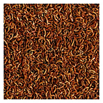  Tetra ReptoMin Gammarus    250