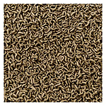  Tetra ReptoMin    130500