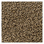  Tetra ReptoMin    2701