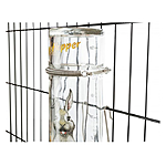  Trixie Honey Hopper     250