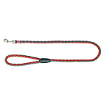  Trixie Cavo   SM 1  12 -