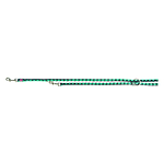  Trixie Cavo    LXL 2  18