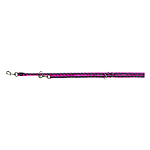  Trixie   LXL 218 -