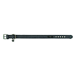  Trixie CityStyle      LXL 5057 35...