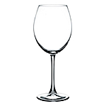    Enoteca 550 2