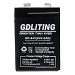     GDLITING 6V-4Ah