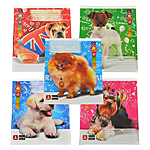    -494D 24  DOGS1 5001 10 