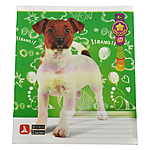    -494D 24  DOGS1 5001 10 