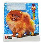    -494D 24  DOGS1 5001 10 