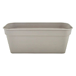 ��������� ���� ��� ������ ������ ��� ��������� 12� �����