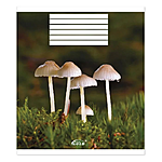    -49 GOLD  i 3524 5  24...
