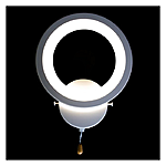    Diasha  12 2119 A 80221WH...