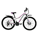  ross Smile   13  26 white-violet