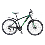    Champion Lector 19.5  27.5 BlackGreen