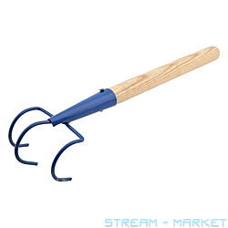 ��������� � ���������� ������ �����