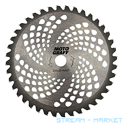 ͳ� 40� ������ 255��