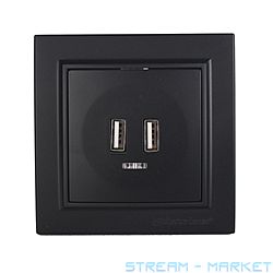Розетка Electro House Enzo 2 USB порта черный