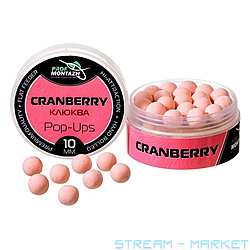 ���� POP UPS ������ 10��