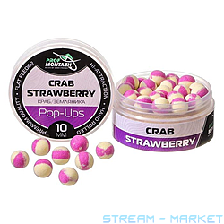 ���� POP UPS ���� ������ 10��