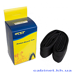   291.75 OCST AV48 