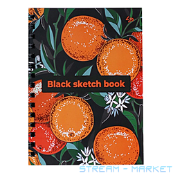  Profiplan Artbook Black sketch book 901 449 5 40   ...