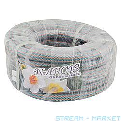    Narcis  d25 1  50