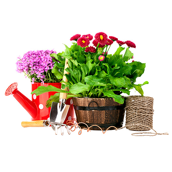 Лучшие товары для сада и огорода - выбирайте профессиональные средства по выгодной цене