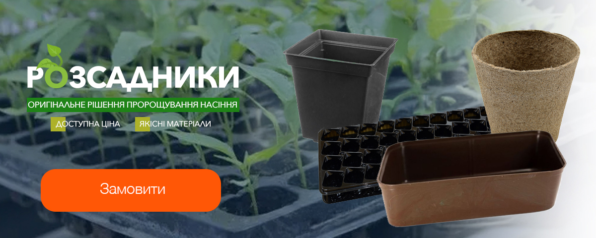 ������ ��� ������ � �������