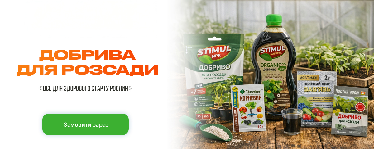 �������� ������ ��������