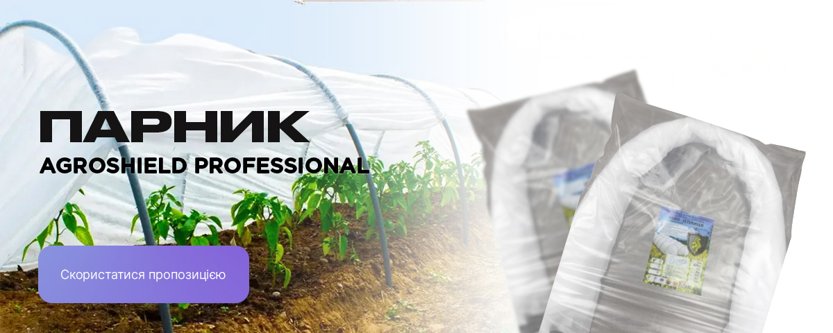 �������� ��������� � ����� �������