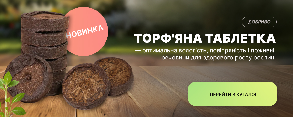 �������� ������ ��������