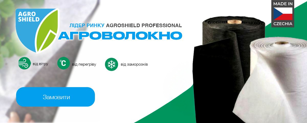 �������� ��������� � ����� �������