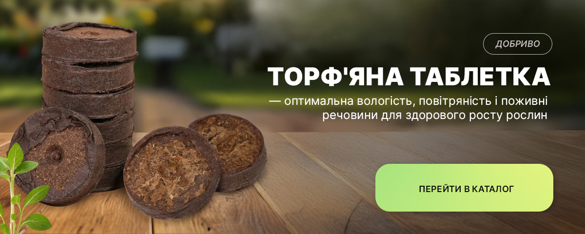 �������� ������ ��������