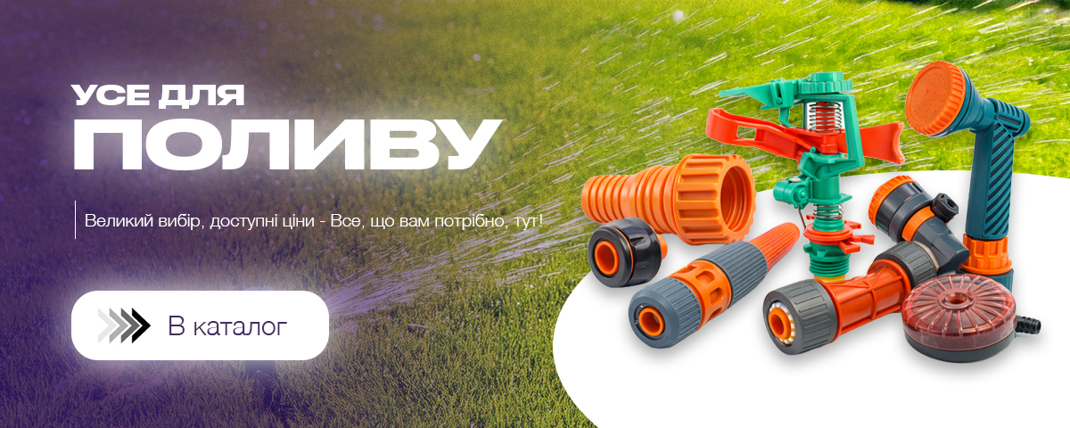 ����� � �������������