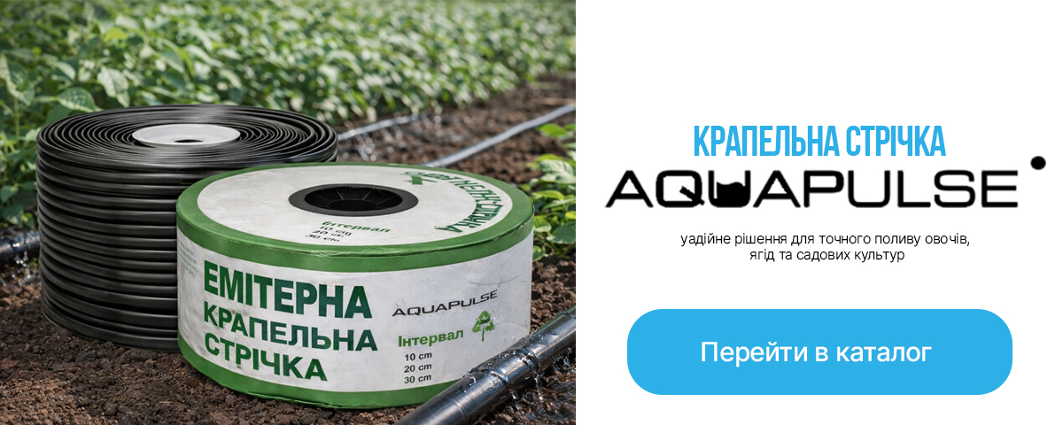 ��������� �����