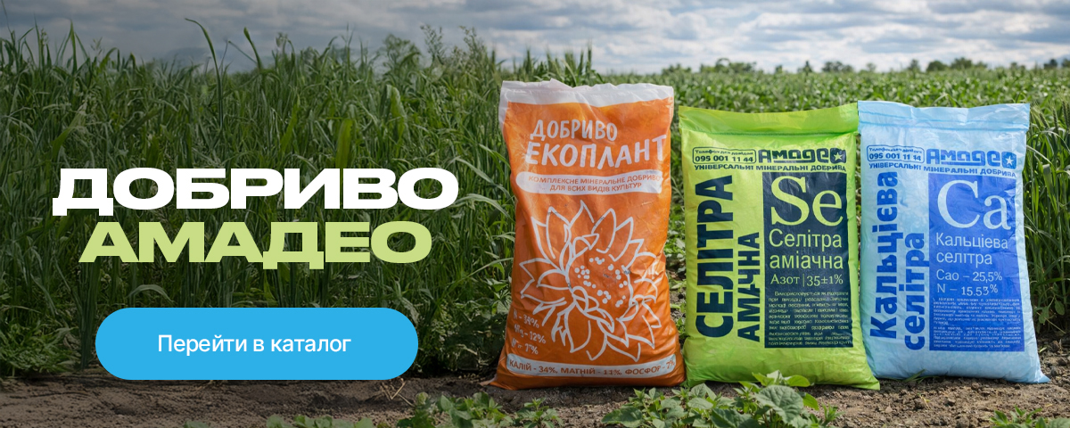 �������� ������ ��������