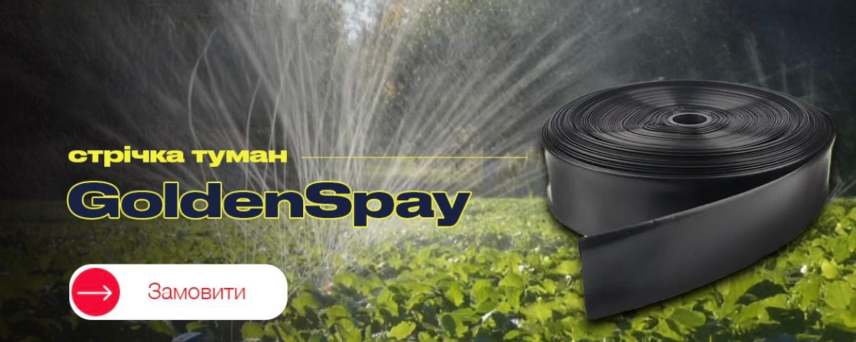 ��������� �����