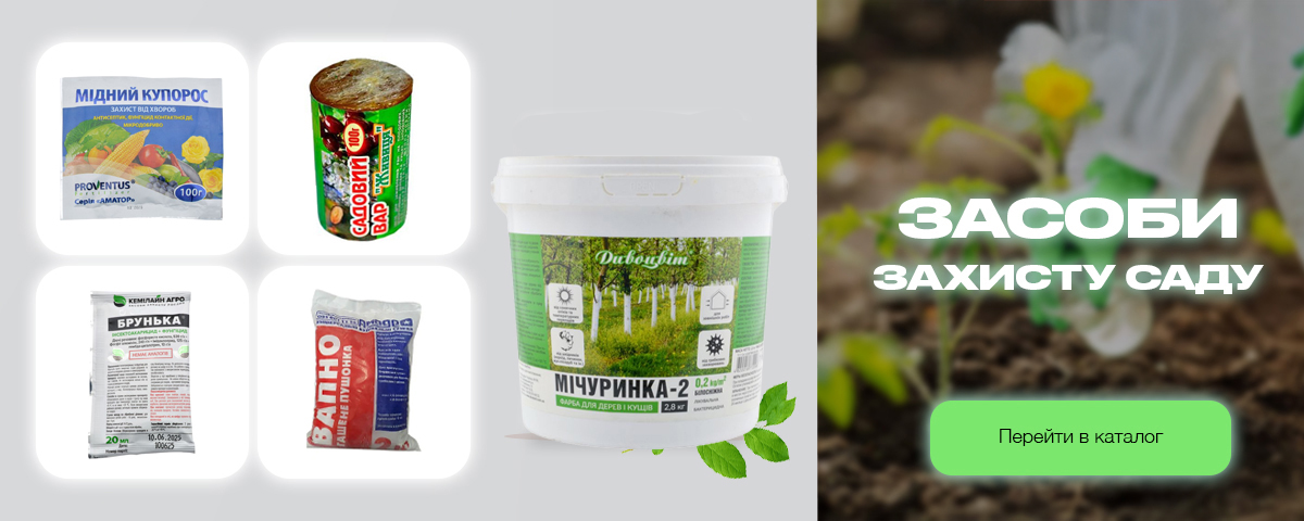 �������� ������ ��������