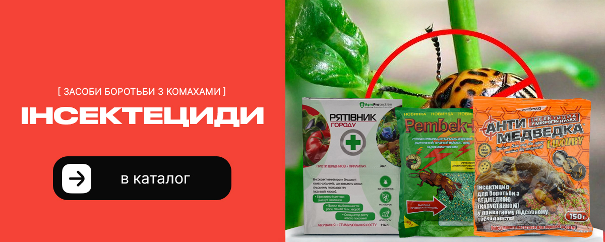 �������� �� ��������� � �������