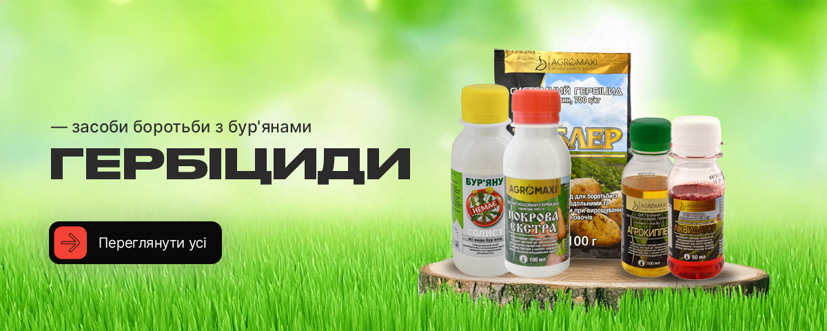 �������� �� ��������� � �������