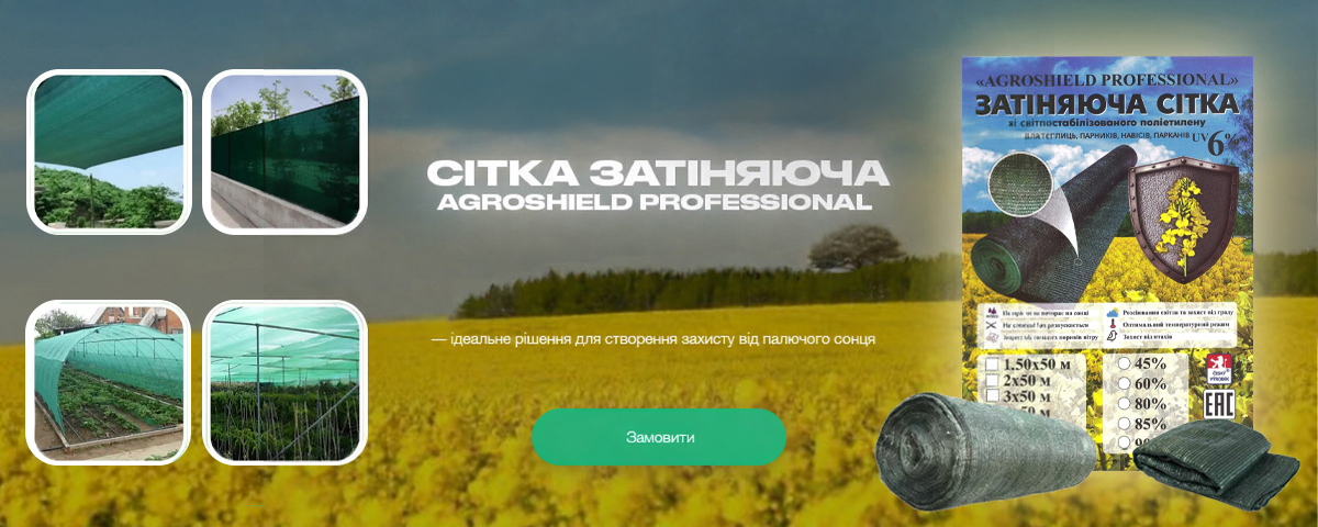 �������� ��������� � ����� �������